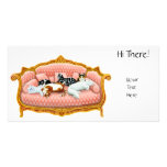 Royal Cat Nap Photo Card photo cards