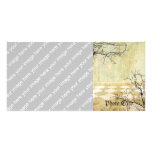 Royal Coordinates Background with Branches photo cards