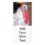 Royal Palm Turkey rack cards