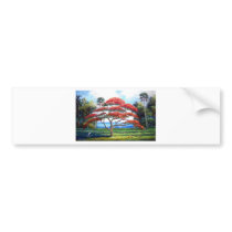 Royal Poinciana Tree Art