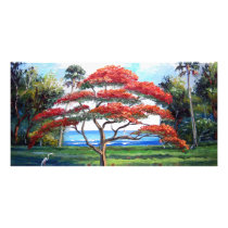 Royal Poinciana Tree Art