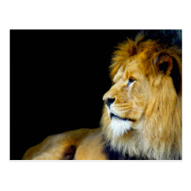 Royal Portrait Post Card