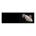 Royal Trumpet Mushroom Profile Card business cards