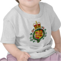 Royal Wales Official Coat Of Arms Heraldry Symbol