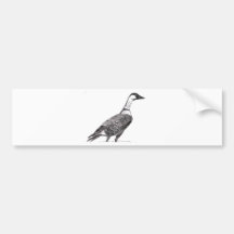 Roz 4 bumper sticker