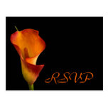RSVP insert postcards