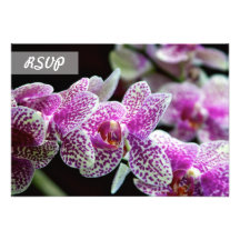RSVP Orchid Flower Custom Announcements