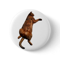 Rub My Tummy Button