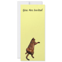 Rub My Tummy Custom Invitations