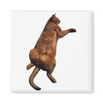 Rub My Tummy Refrigerator Magnets