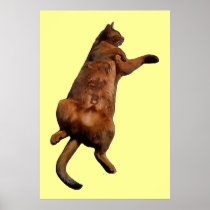Rub My Tummy Poster