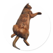 Rub My Tummy Sticker