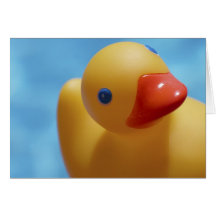 Rubber Duck Close-Up Cards