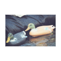 Rubber ducks canvas prints