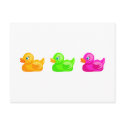 Rubber Ducks postcards