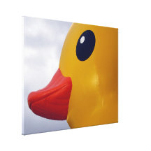 rubber ducky canvas prints