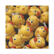 Rubber Ducky - Magnet