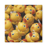Rubber Ducky - Magnet