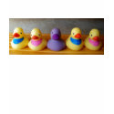 Rubber Ducky t-shirts