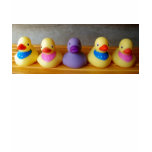 Rubber Ducky t-shirts