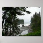Ruby Beach Poster posters