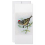 Ruby-crowned Kinglet rack cards