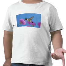 Ruby-throated Hummingbird, Archilochus 4 Tees