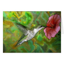 Ruby throated Hummingbird Card