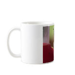 Ruby throated hummingbird mugs