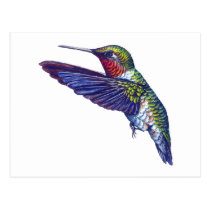 Ruby Throated Hummingbird postcards