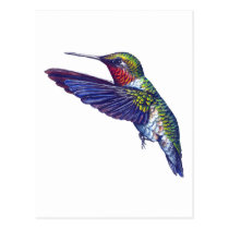 Ruby Throated Hummingbird postcards
