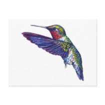 Ruby Throated Hummingbird Post Card