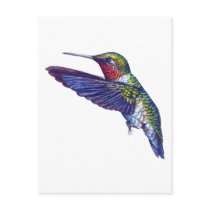 Ruby Throated Hummingbird Post Cards