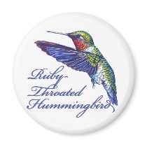 Ruby Throated Hummingbird Scripted Magnets
