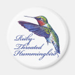 Ruby Throated Hummingbird Scripted Magnets