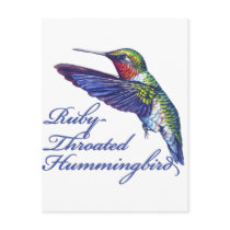 Ruby Throated Hummingbird Scripted Postcards