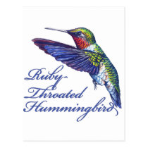 Ruby Throated Hummingbird Scripted postcards