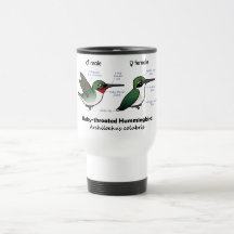 Ruby-throated Hummingbird Statistics Coffee Mug