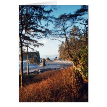 RubyBeach Card