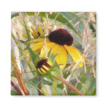 Rudbeckia and Co Magnets