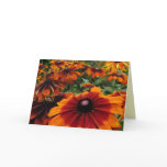 Rudbeckia Birthday cards