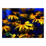 Rudbeckia Hirta Creation I - card