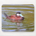 Ruddy duck mousepads
