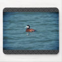Ruddy Duck mousepads