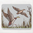 Ruddy Ducks mousepads