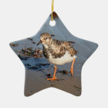 Ruddy Turnstone Christmas Ornaments
