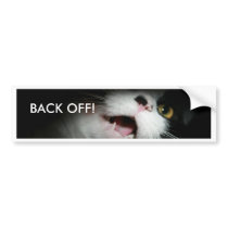 Rude Cat Custom and Sayings