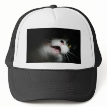 Rude Cat Custom and Sayings