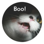 Rude Cat Custom and Sayings stickers