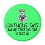 Rude Confucius saying magnets